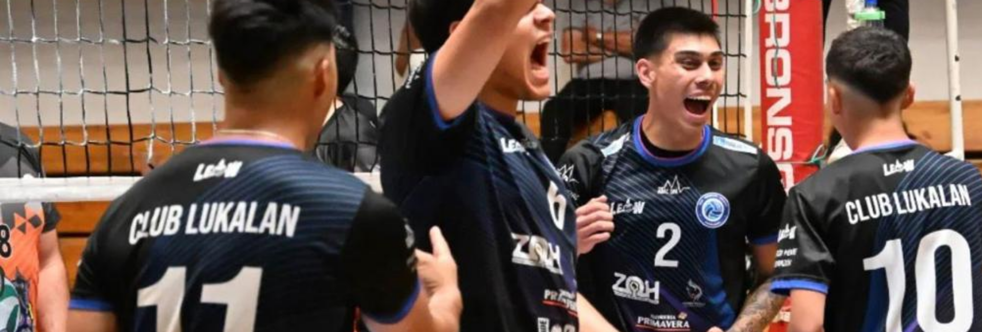 Colección Voleibol LEOW